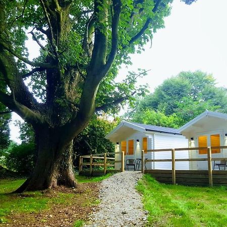 Dunmore Gardens Log Cabins Carrigans  Bagian luar foto